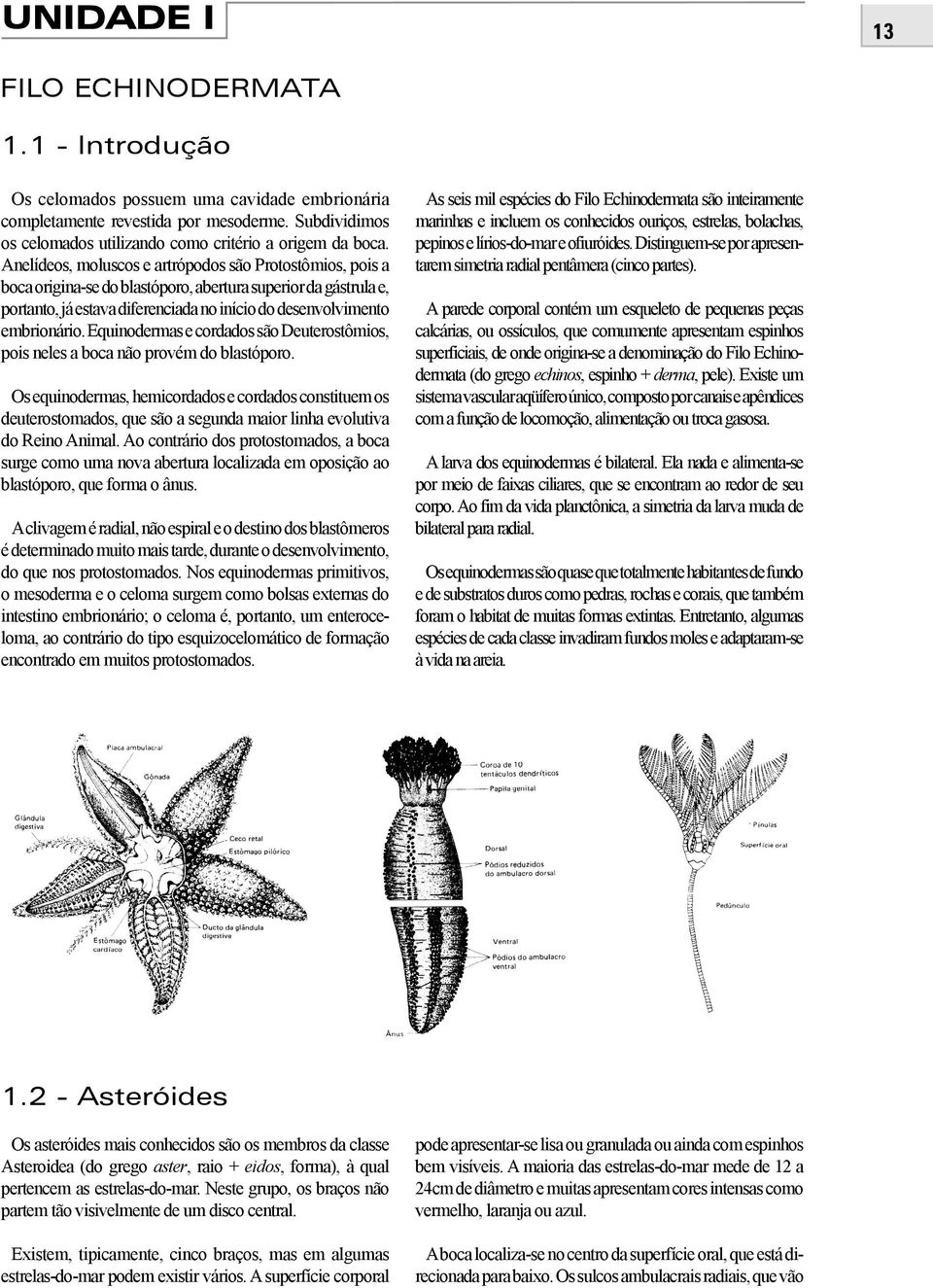 Anelídeos, moluscos e artrópodos são Protostômios, pois a boca origina-se do blastóporo, abertura superior da gástrula e, portanto, já estava diferenciada no início do desenvolvimento embrionário.