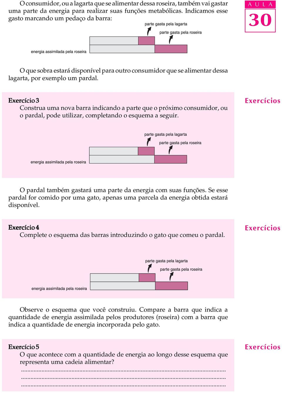 Exercício 3 Construa uma nova barra indicando a parte que o próximo consumidor, ou o pardal, pode utilizar, completando o esquema a seguir.