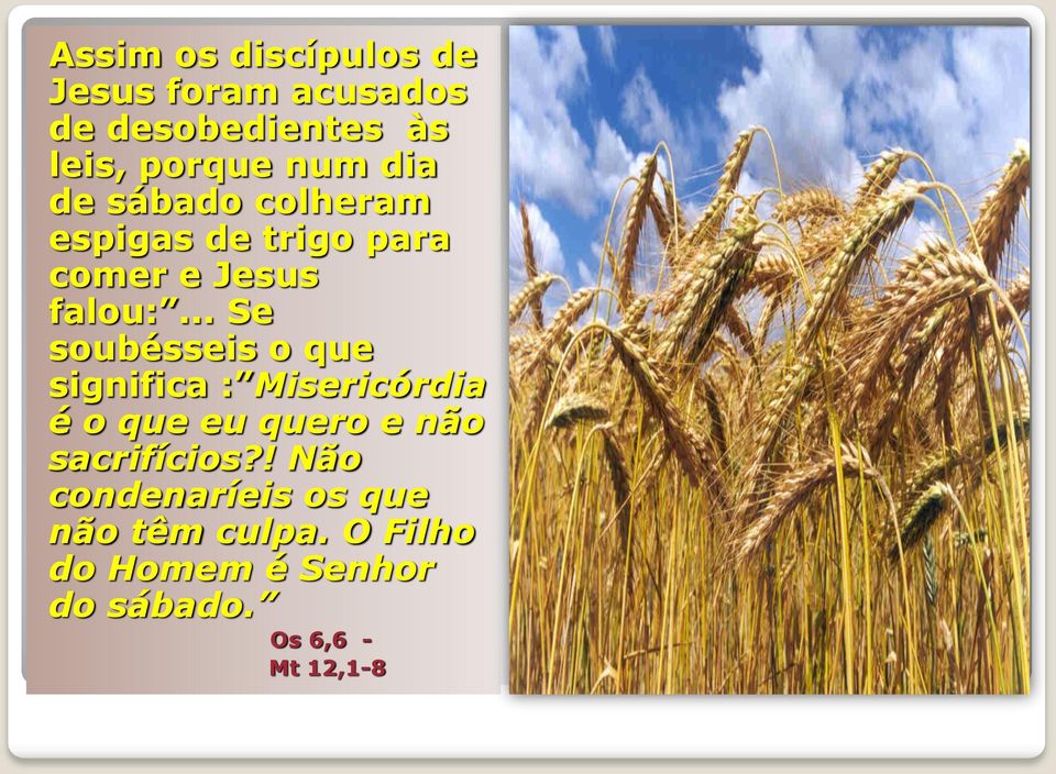 .. Se soubésseis o que significa : Misericórdia é o que eu quero e não sacrifícios?