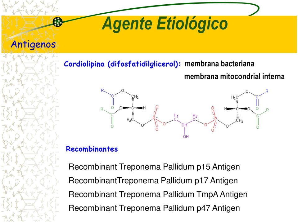 Treponema Pallidum p15 Antigen RecombinantTreponema Pallidum p17 Antigen