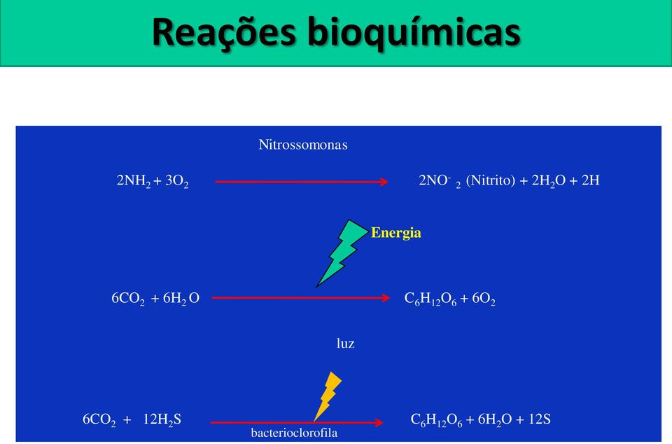 + 6H 2 O C 6 H 12 O 6 + 6O 2 luz 6CO 2 + 12H 2