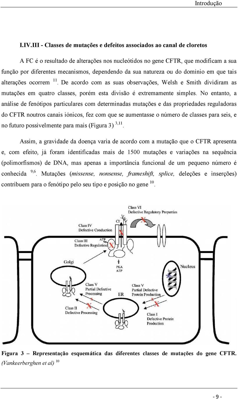 sua natureza ou do domínio em que tais alterações ocorrem 11. De acordo com as suas observações, Welsh e Smith dividiram as mutações em quatro classes, porém esta divisão é extremamente simples.