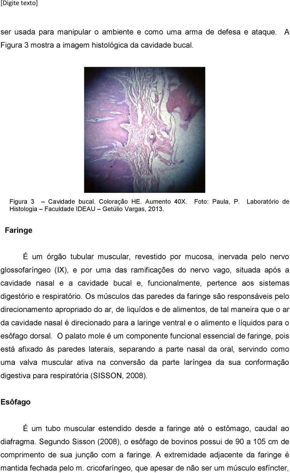 Faringe É um órgão tubular muscular, revestido por mucosa, inervada pelo nervo glossofaríngeo (IX), e por uma das ramificações do nervo vago, situada após a cavidade nasal e a cavidade bucal e,