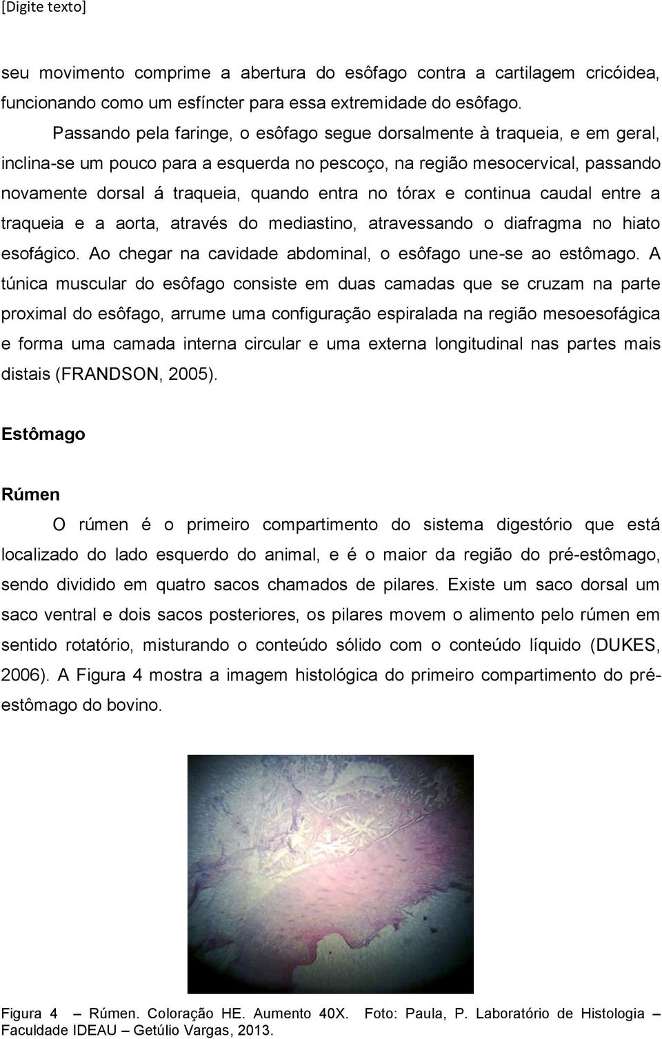 no tórax e continua caudal entre a traqueia e a aorta, através do mediastino, atravessando o diafragma no hiato esofágico. Ao chegar na cavidade abdominal, o esôfago une-se ao estômago.