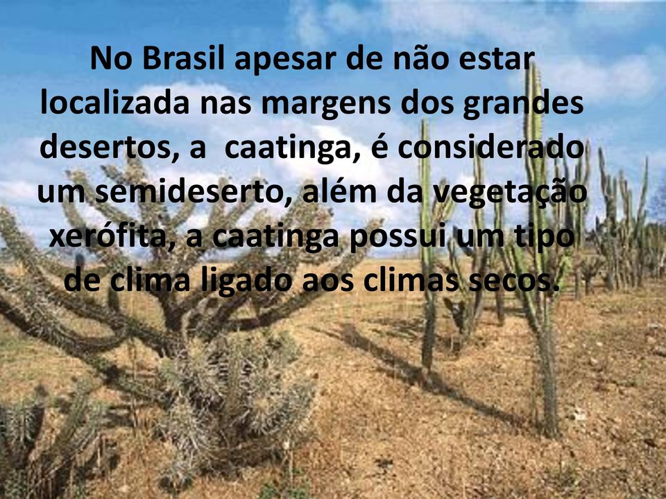 considerado um semideserto, além da vegetação