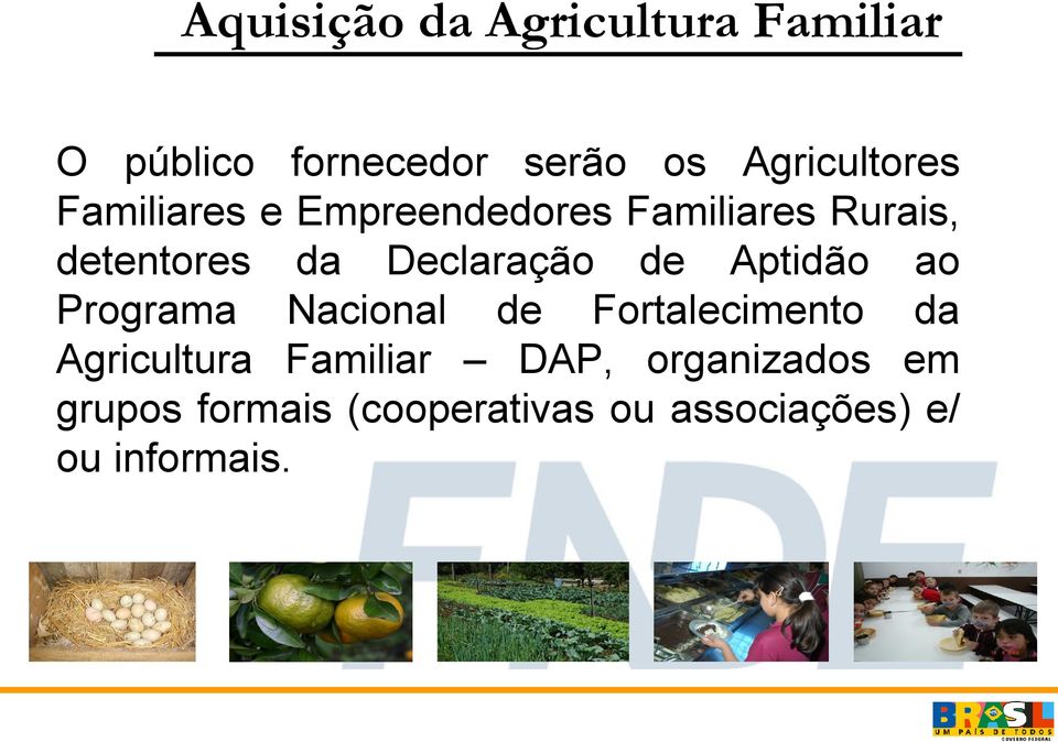 Declaração de Aptidão ao Programa Nacional de Fortalecimento da Agricultura