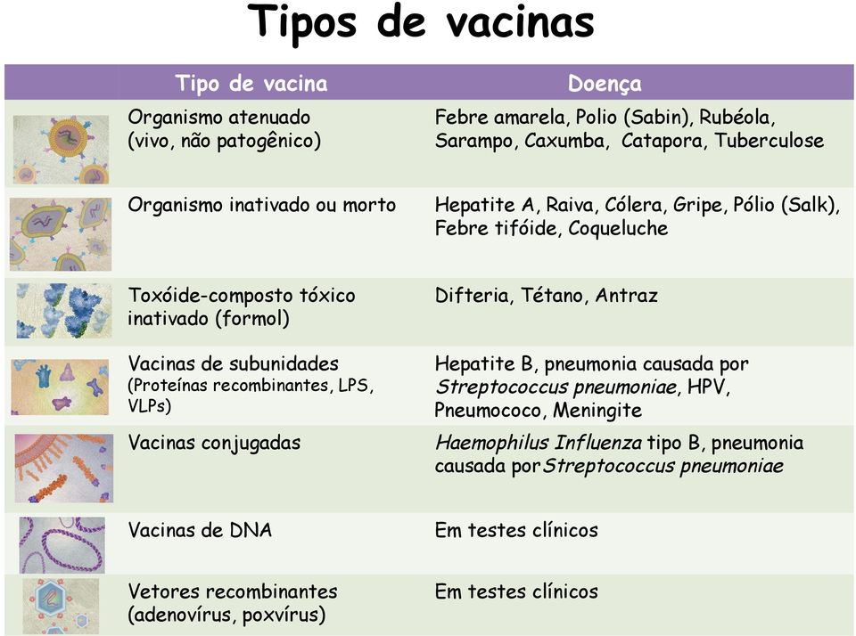 subunidades (Proteínas recombinantes, LPS, VLPs) Vacinas conjugadas Difteria, Tétano, Antraz Hepatite B, pneumonia causada por Streptococcus pneumoniae, HPV,