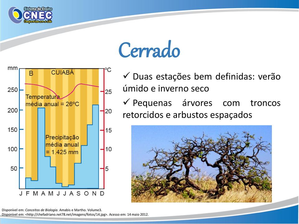 Disponível em: Conceitos de Biologia. Amabis e Martho. Volume3.