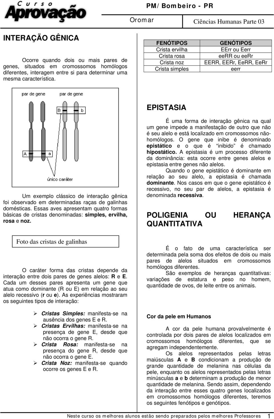 determinadas raças de galinhas domésticas. Essas aves apresentam quatro formas básicas de cristas denominadas: simples, ervilha, rosa e noz.