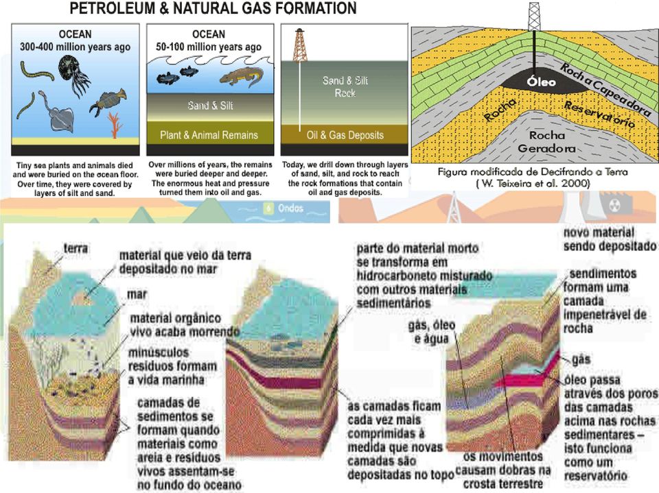 petroleo