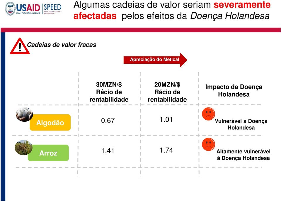 rentabilidade 20MZN/$ Rácio de rentabilidade Impacto da Doença Holandesa Algodão