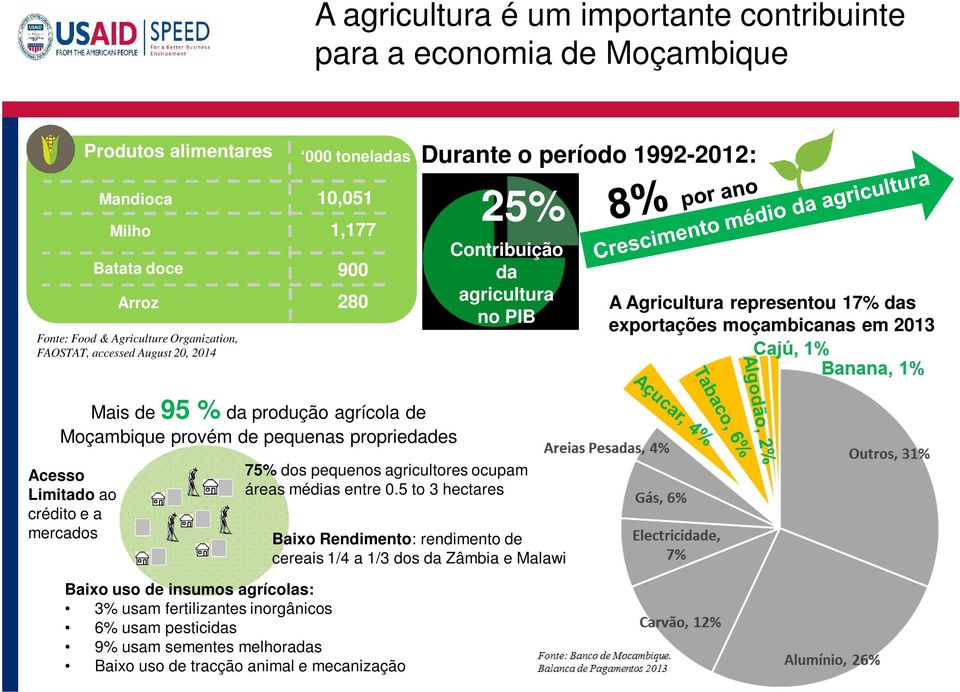 produção agrícola de Moçambique provém de pequenas propriedades Acesso Limitado ao crédito e a mercados 75% dos pequenos agricultores ocupam áreas médias entre 0.