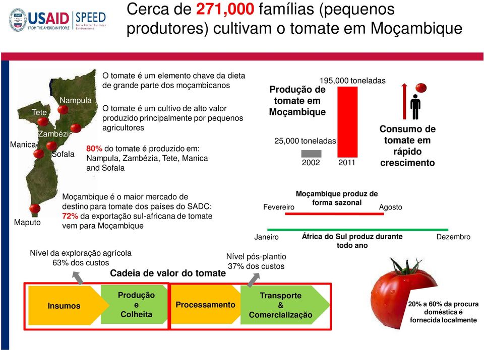25,000 toneladas 2002 2011 Consumo de tomate em rápido crescimento Maputo Moçambique é o maior mercado de destino para tomate dos países do SADC: 72% da exportação sul-africana de tomate vem para