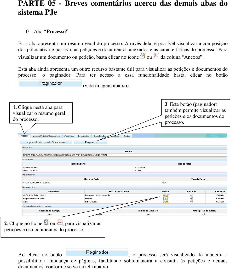 Para visualizar um documento ou petição, basta clicar no ícone ou da coluna Anexos.