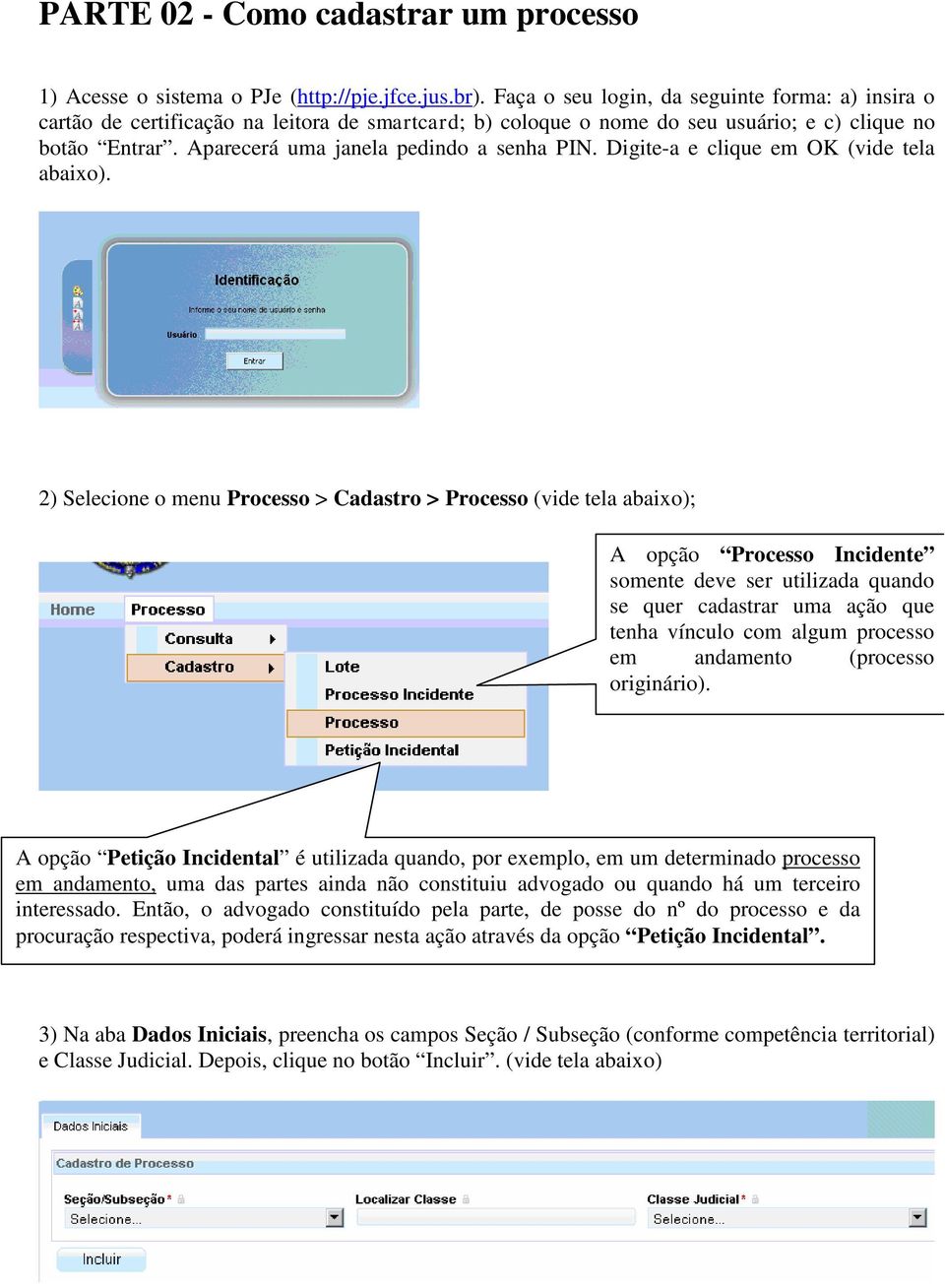 Aparecerá uma janela pedindo a senha PIN. Digite-a e clique em OK (vide tela abaixo).