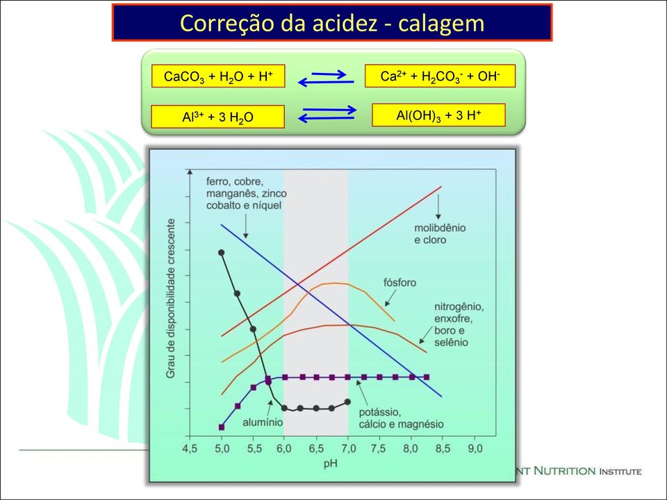 + Ca 2+ + H 2 CO 3 - + OH