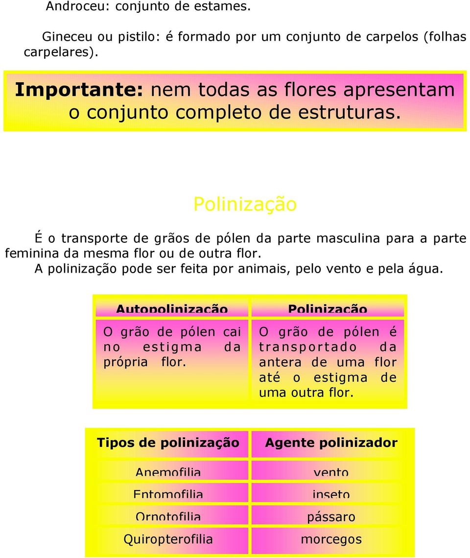 Polinização É o transporte de grãos de pólen da parte masculina para a parte feminina da mesma flor ou de outra flor.