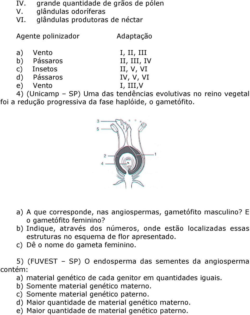 evolutivas no reino vegetal foi a redução progressiva da fase haplóide, o gametófito. a) A que corresponde, nas angiospermas, gametófito masculino? E o gametófito feminino?