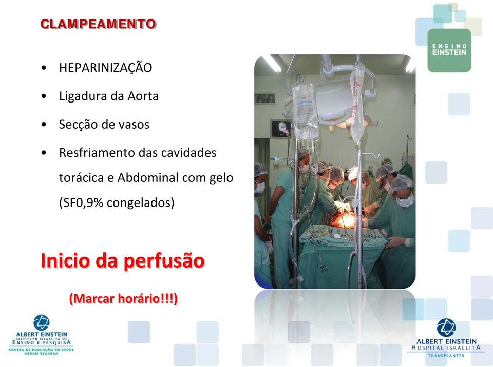 cavidades torácica e Abdominal com gelo