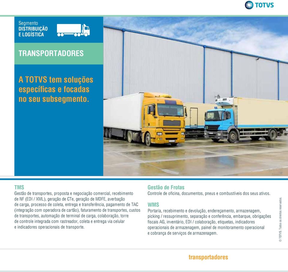 de TAC (integração com operadora de cartão), faturamento de transportes, custos de transportes, automação de terminal de carga, colaboração, torre de controle integrada com rastreador, coleta e