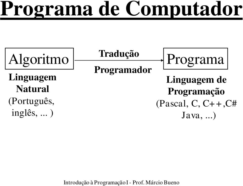 .. ) Tradução Programador Programa