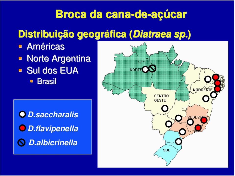 Brasil Broca da cana-de de-açúcar D.