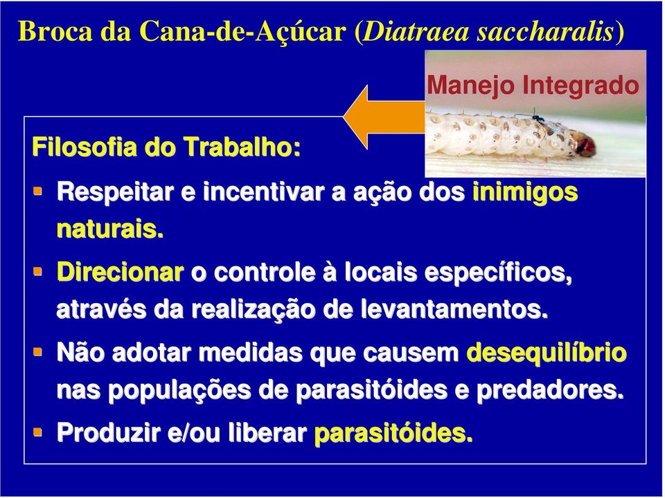 Direcionar o controle à locais específicos, através da realização de levantamentos.