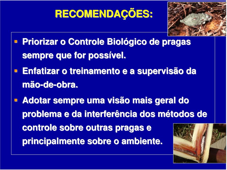 Adotar sempre uma visão mais geral do problema e da interferência dos