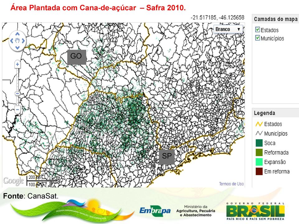 Cana-de-açúcar