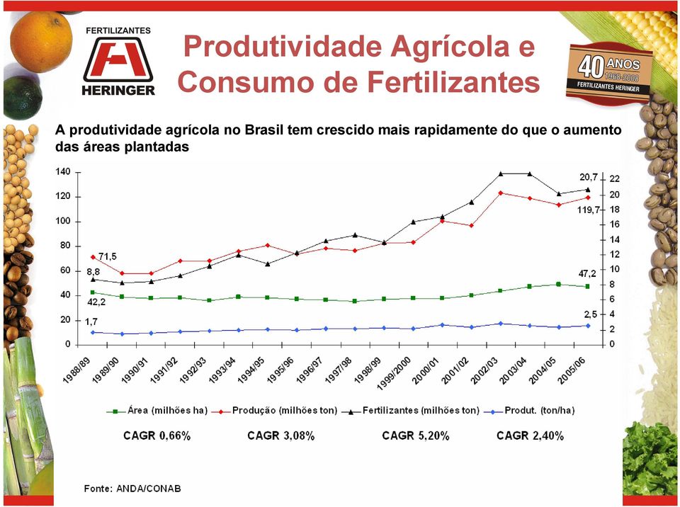 agrícola no Brasil tem crescido mais