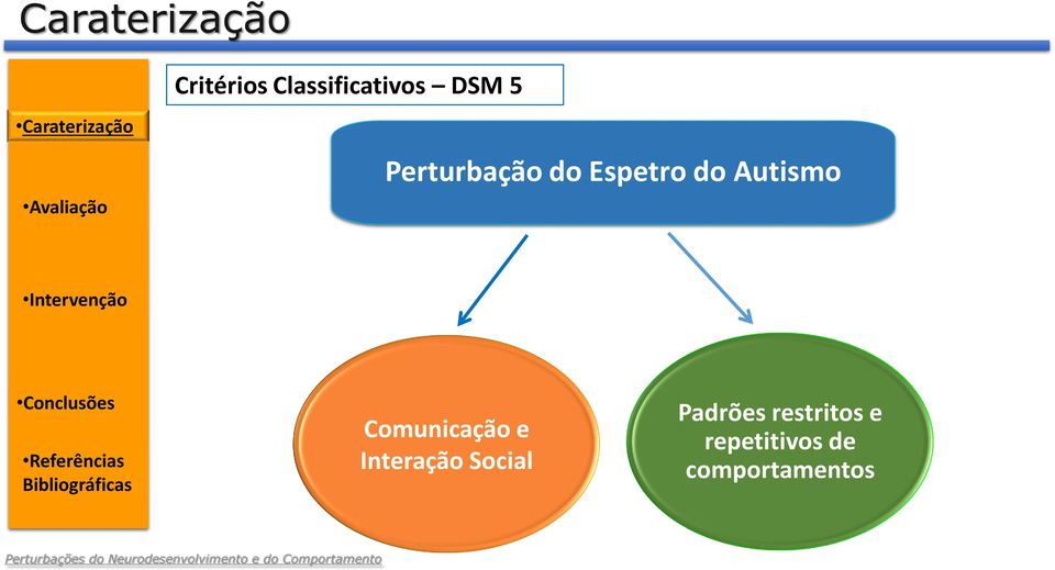 Conclusões Comunicação e Interação Social