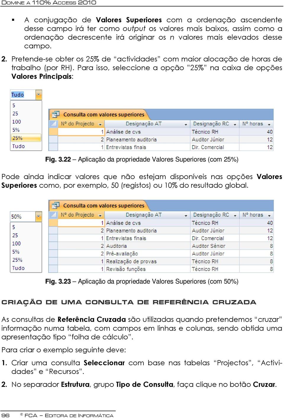 Para isso, seleccione a opção 25% na caixa de opções Valores Principais: Fig. 3.