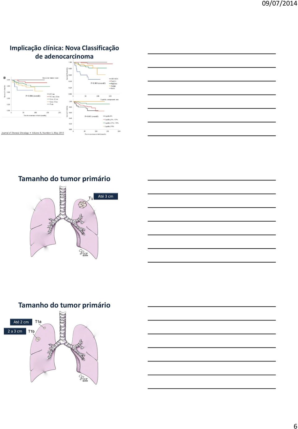 Tamanho do tumor primário 1 Até 3