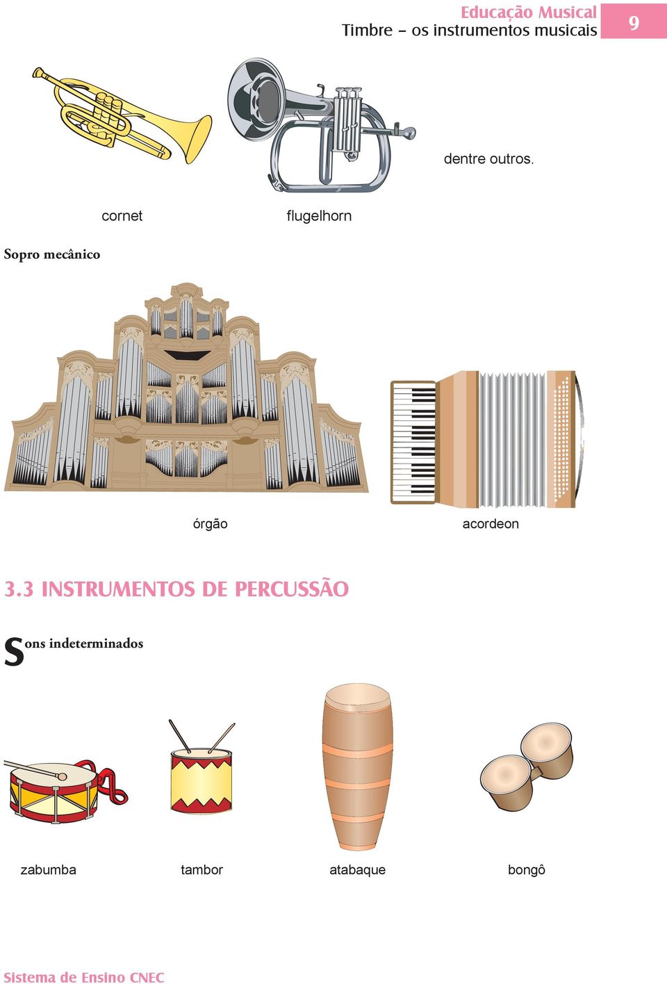 cornet flugelhorn Sopro mecânico órgão acordeon