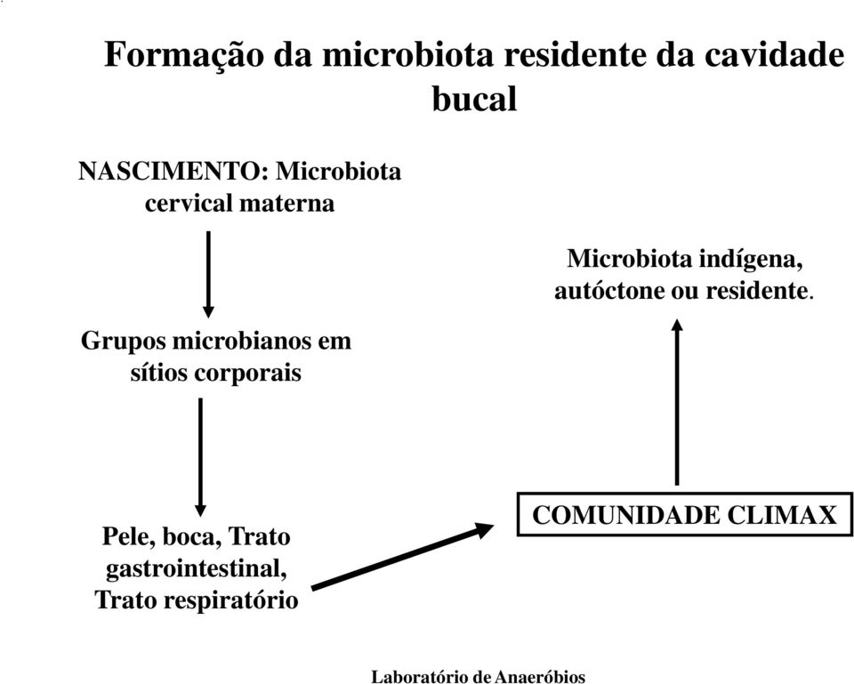 sítios corporais Microbiota indígena, autóctone ou residente.