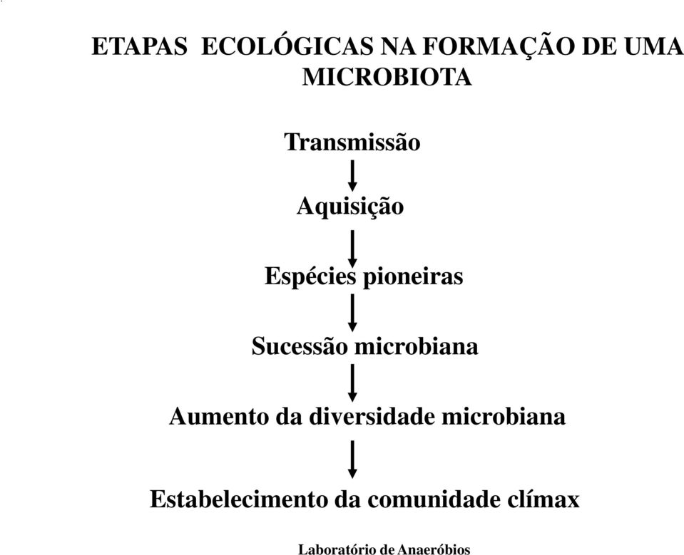 pioneiras Sucessão microbiana Aumento da