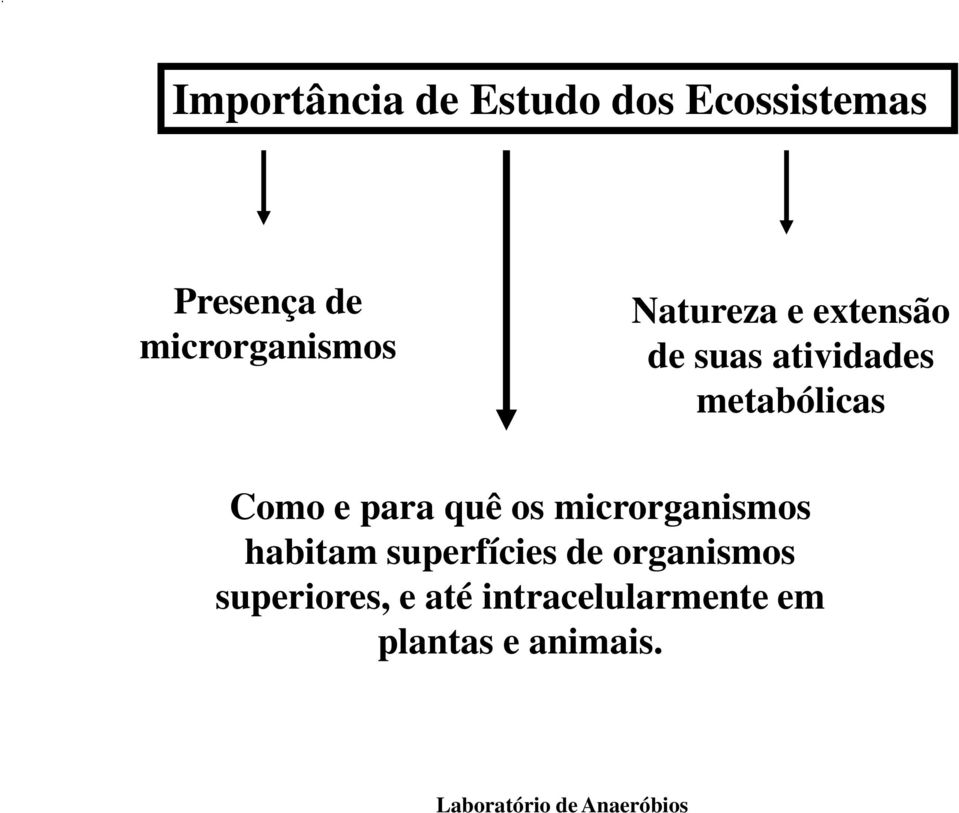 metabólicas Como e para quê os microrganismos habitam