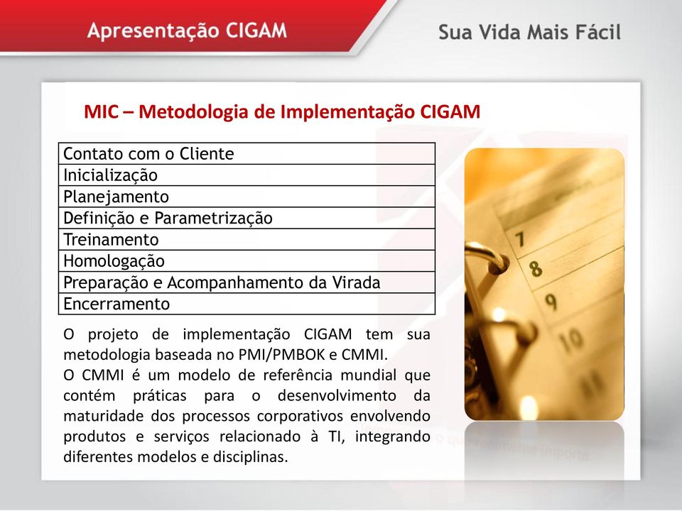 metodologia baseada no PMI/PMBOK e CMMI.