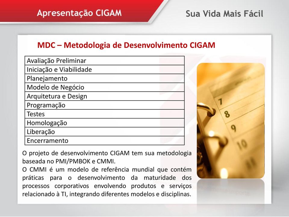 metodologia baseada no PMI/PMBOK e CMMI.