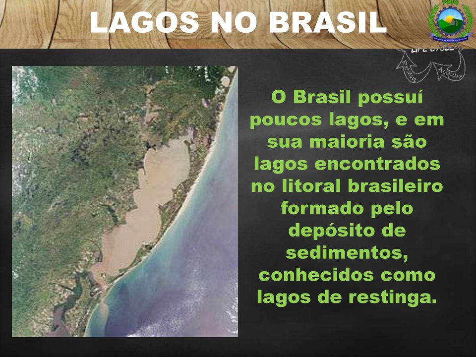 encontrados no litoral brasileiro formado