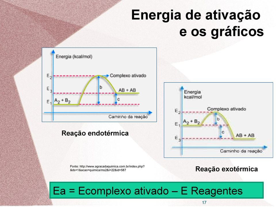 com.br/index.php?