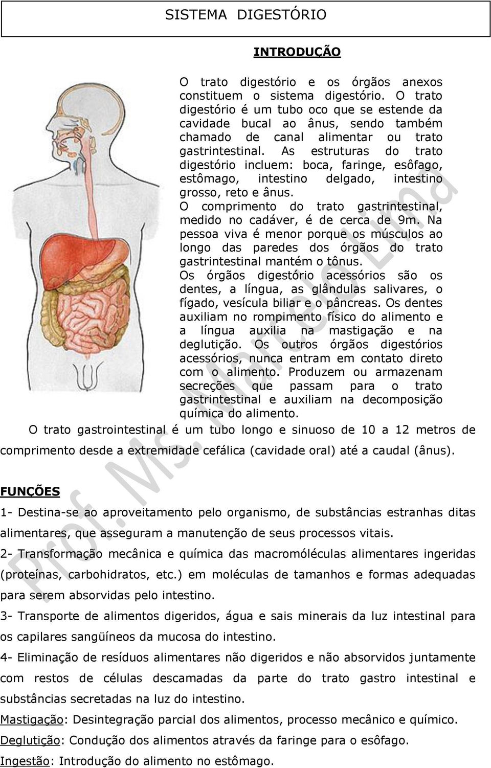 As estruturas do trato digestório incluem: boca, faringe, esôfago, estômago, intestino delgado, intestino grosso, reto e ânus.