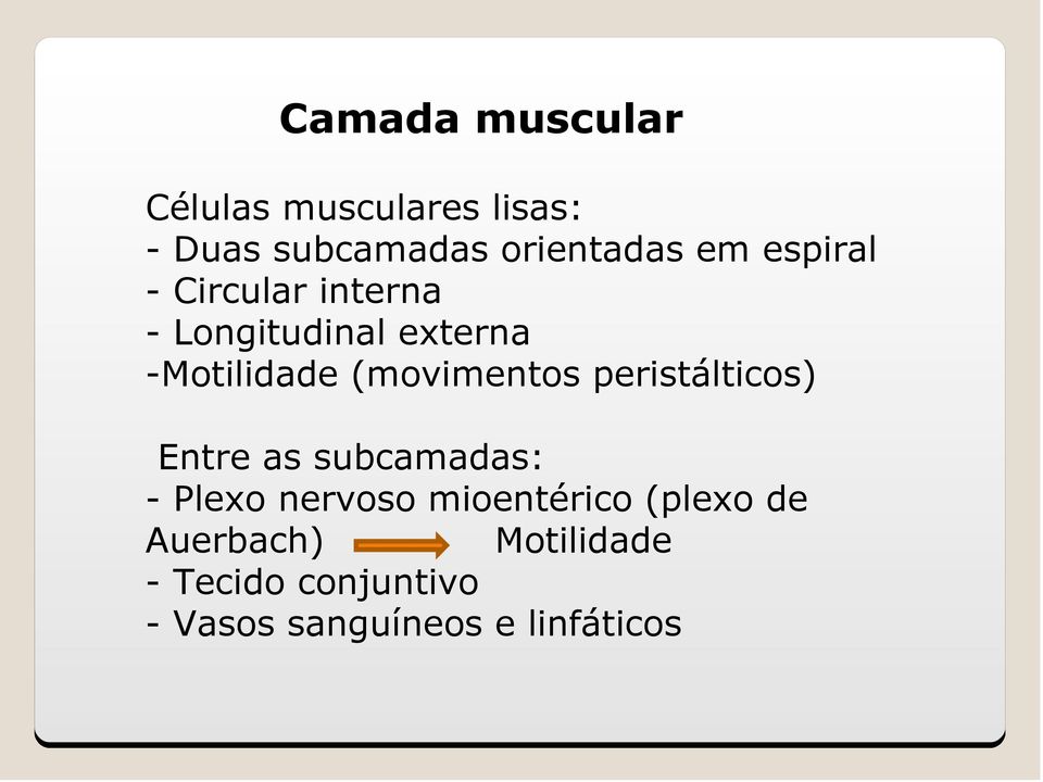 peristálticos) Entre as subcamadas: - Plexo nervoso mioentérico (plexo de