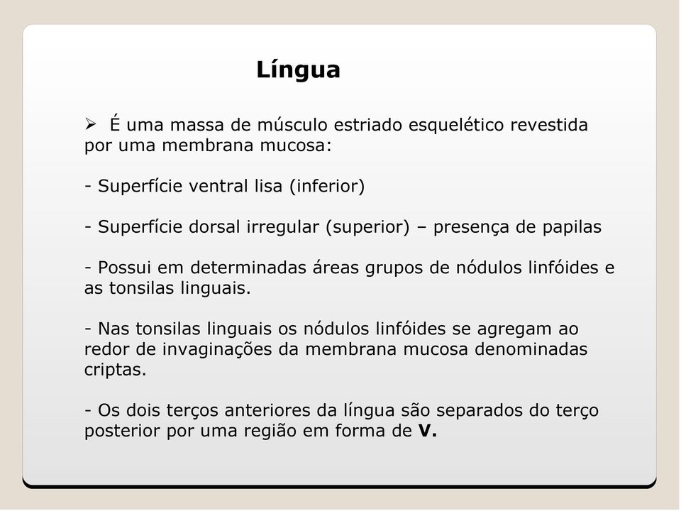 linfóides e as tonsilas linguais.