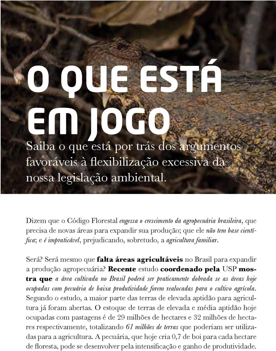 sobretudo, a agricultura familiar. Será? Será mesmo que falta áreas agricultáveis no Brasil para expandir a produção agropecuária?