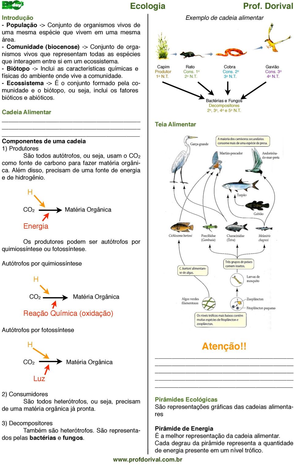 - Biótopo -> Inclui as características químicas e físicas do ambiente onde vive a comunidade.