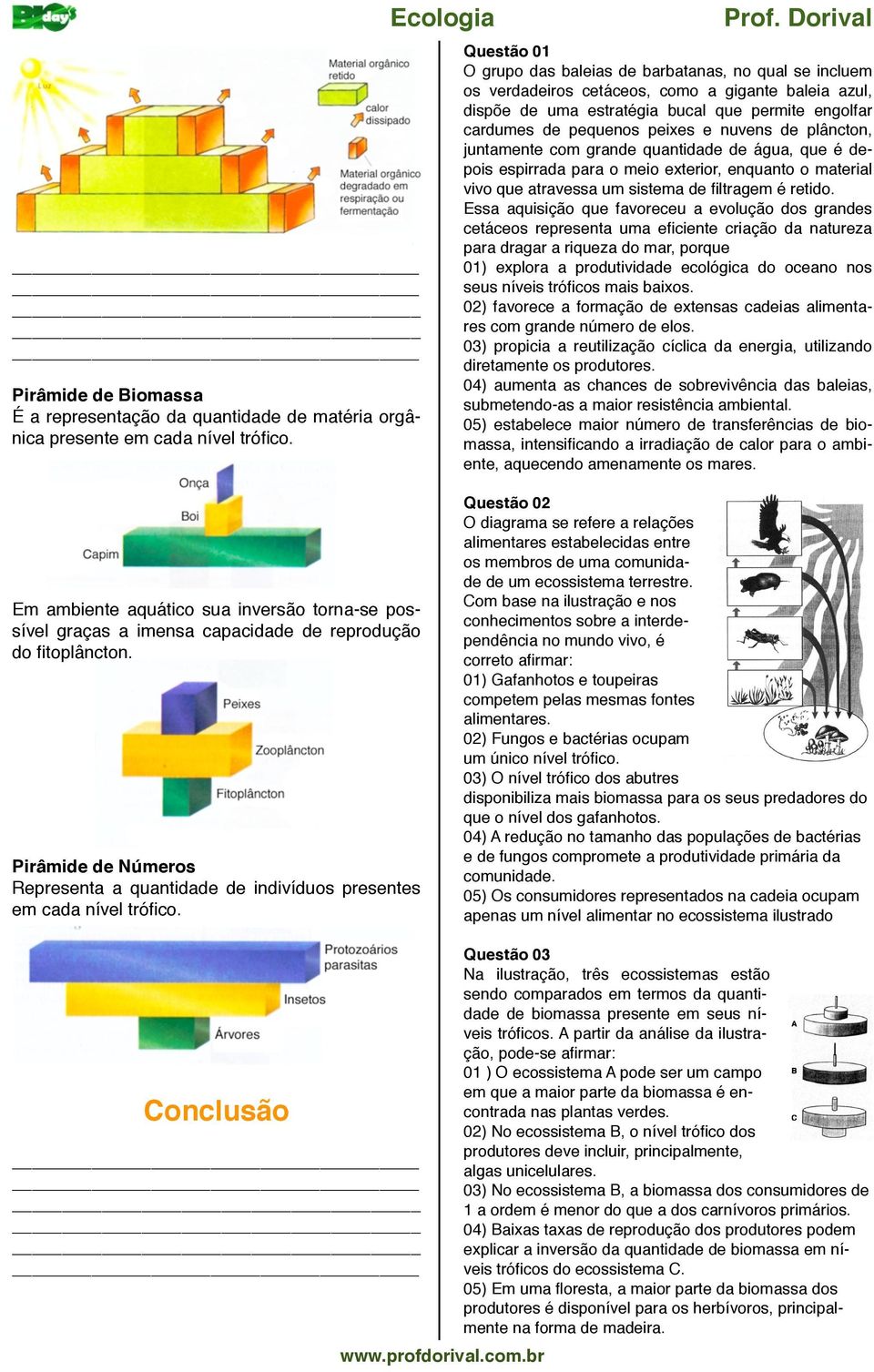 plâncton, juntamente com grande quantidade de água, que é depois espirrada para o meio exterior, enquanto o material vivo que atravessa um sistema de filtragem é retido.