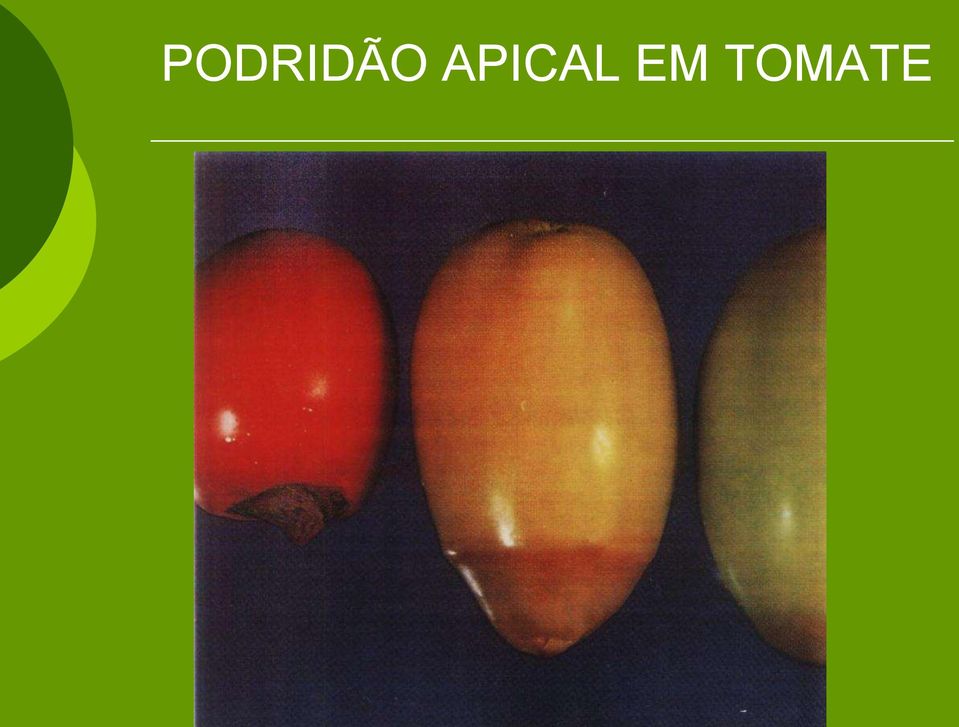 TOMATE