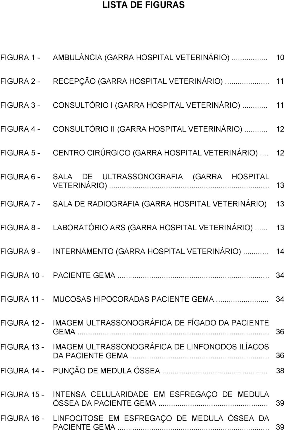 .. 13 FIGURA 7 - SALA DE RADIOGRAFIA (GARRA HOSPITAL VETERINÁRIO) 13 FIGURA 8 - LABORATÓRIO ARS (GARRA HOSPITAL VETERINÁRIO)... 13 FIGURA 9 - INTERNAMENTO (GARRA HOSPITAL VETERINÁRIO).