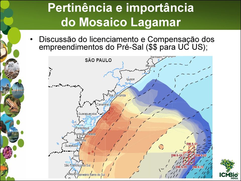 licenciamento e Compensação dos